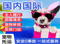 湛江国际宠物托运 【国